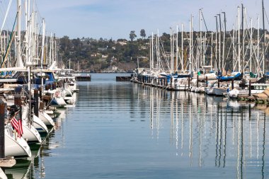 Sausalito Marina 'daki tekneler, Sausalito, California, ABD