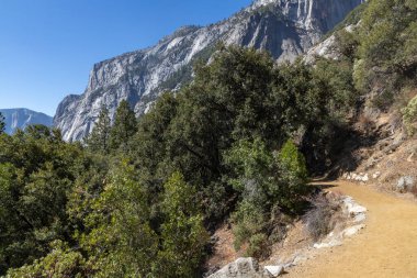 Trail in Rocky mountains trees, California, USA clipart