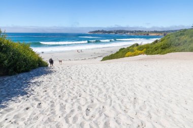 Sahile giden yol, Carmel deniz kenarında, Monterey, California, ABD