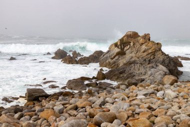 Kayalık plajda sis, Pacific Grove, Monterey, California, ABD