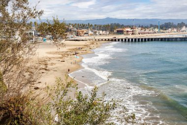 Bitki ve kumsal, Santa Cruz, California, ABD