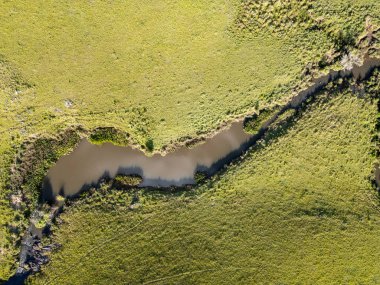 Nehir tarlasında, Cambara do Sul, Rio Grande do Sul, Brezilya