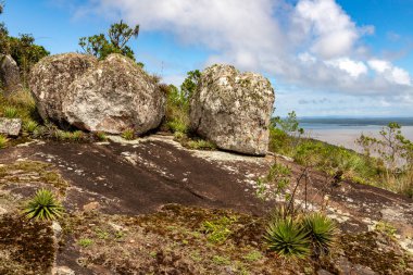 Itapua Eyalet Parkı 'ndaki kayalar ve bitki örtüsü, Viamao, Rio Grande do Sul, Brezilya