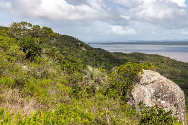 Itapua Eyalet Parkı 'ndaki orman ve Guaiba Gölü, Viamao, Rio Grande do Sul, Brezilya