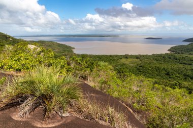 Itapua Eyalet Parkı 'ndaki orman ve Guaiba Gölü, Viamao, Rio Grande do Sul, Brezilya