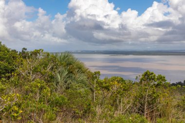Itapua Eyalet Parkı 'ndaki orman ve Guaiba Gölü, Viamao, Rio Grande do Sul, Brezilya