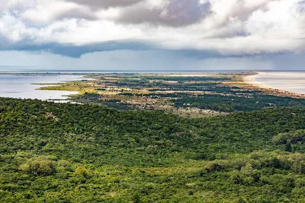 Orman ve Lagoa dos Patos Itapua Eyalet Parkı, Viamao, Rio Grande do Sul, Brezilya
