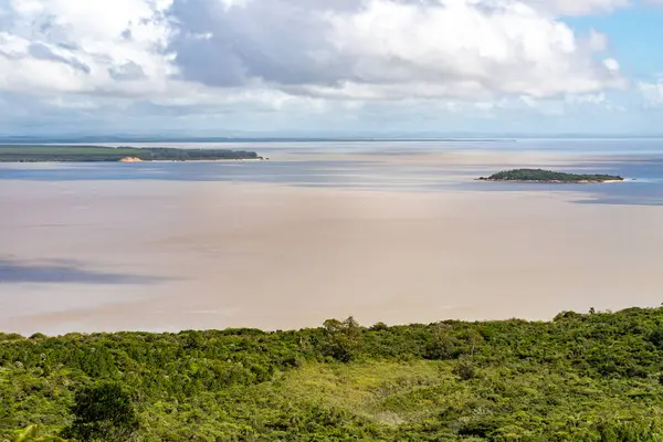 Itapua Eyalet Parkı 'ndaki orman ve Guaiba Gölü, Viamao, Rio Grande do Sul, Brezilya