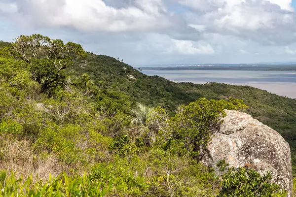 Itapua Eyalet Parkı 'ndaki orman ve Guaiba Gölü, Viamao, Rio Grande do Sul, Brezilya