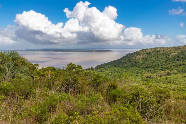 Itapua Eyalet Parkı 'ndaki orman ve Guaiba Gölü, Viamao, Rio Grande do Sul, Brezilya
