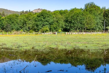 Orman, göl ve yansımalı tarım arazisi, Ponte de Lima, Viana do Castelo, Portekiz