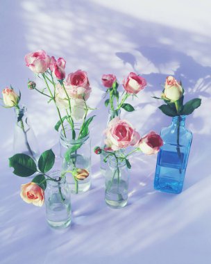 Cam şeffaf vazolarda taze pembe güller, romantik selamlar için çiçekler, mutlu yıllar, davetiyeler, kartpostallar.