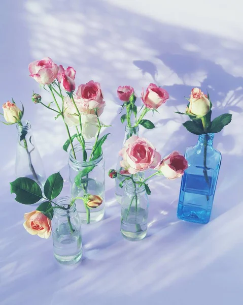 Frische Rosa Rosen Gläsernen Transparenten Vasen Blumen Für Romantische Grüße Stockfoto