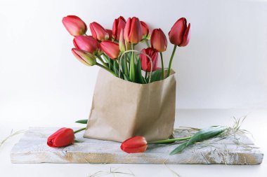 Beyaz arka planda kağıt bir çantada çiçek açan kırmızı laleler, bahar çiçekleri.