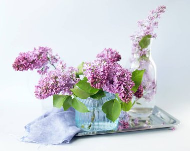 Beyaz bir arka planda vazodaki leylak çiçekleri, bahar, çiçek açan taze çiçekler.