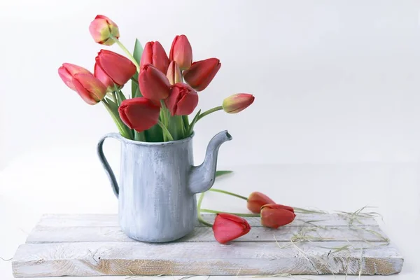 Bouquet of red tulip flowers in a vase on a white background, floral still life, spring