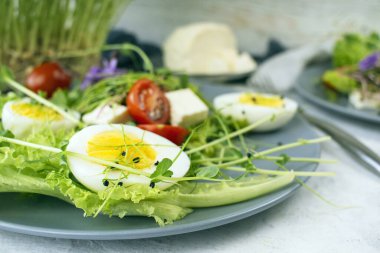 Sağlıklı salata, marul, vişneli domates, mozzarella peyniri ve mikro yeşiller, tabakta, açık arkaplanda.