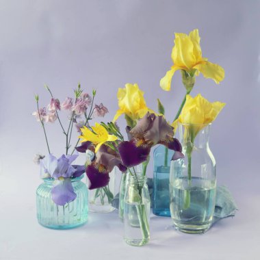 Güzel sarı ve mor iris çiçekleri cam vazolarda leylak arka planda. 