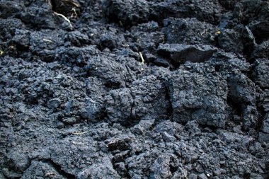 Siyah toprak dokusu. Siyah toprak yüzeyine yakın çekim.