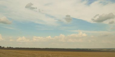 Buğday biçili, güzel gökyüzü ve tahıl hasadı olan bir arazi..