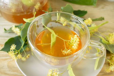 Cam bardakta ıhlamur çayı, taze ıhlamur çiçekleri, ahşap bir arka planda. Şifalı bitki çayı..