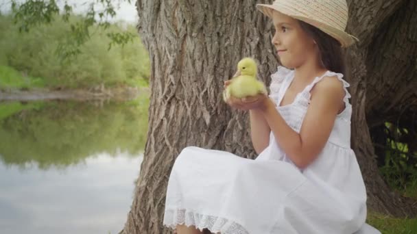 Happy Child Holds Fluffy Yellow Duckling Hand Preschooler Girl Enjoys — Stok video