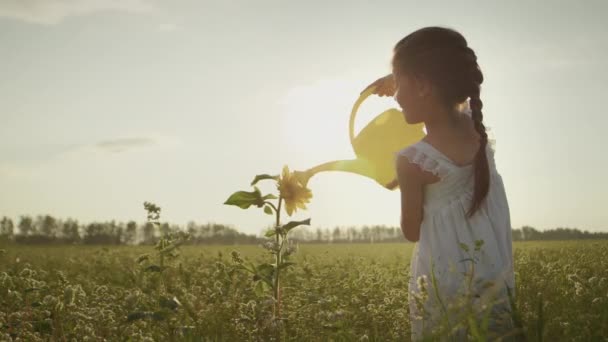 Маленька Дівчинка Насолоджується Доглядом Рослинами Під Час Літніх Канікул Сільській — стокове відео