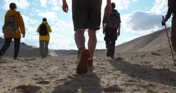 Bir Grup Turist Dağların Arkasındaki Manzaraya Giden Issız Bölgede Yürüyor Telifsiz Stok Video