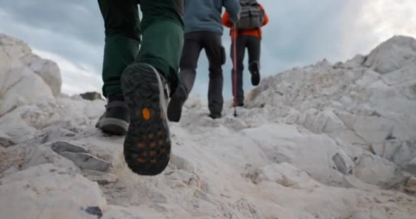Vue Arrière Aux Pieds Groupe Touristes Allant Dans Zone Montagne — Video