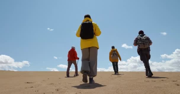 Dört Yürüyüşçü Birlikte Vahşi Çöl Manzarası Boyunca Uzanıyor Kum Yabanda Telifsiz Stok Çekim