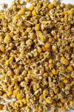 Parlak arkaplanda papatya çiçeği çayı, bitkisel bitkiler..