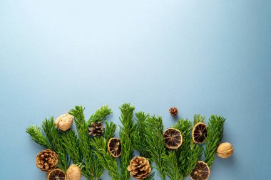 Christmas background with fir branches, pine cones, dried oranges and nuts, blue background. Winter template, copy space for text