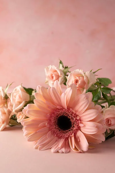 Gerbera Fresh Flower Closeup Pink Background Feminine Greeting Card — Fotografia de Stock