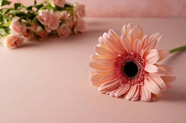Gerbera Fresh Flower Roses Pink Background Abstract Floral Greeting Card — Stock Photo, Image