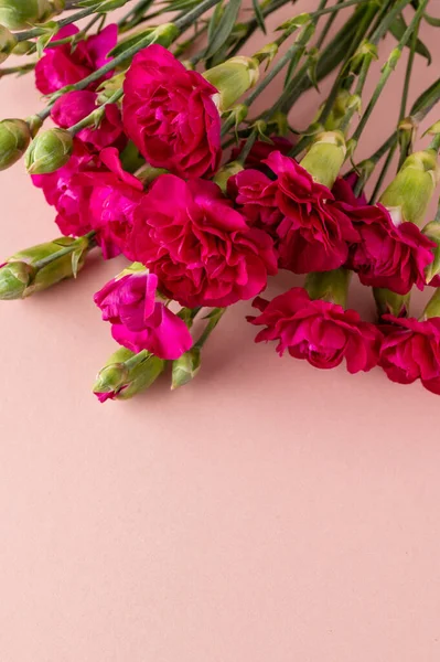Bouquet Red Carnation Fresh Flower Greeting Card Pink Background Copy — Fotografia de Stock