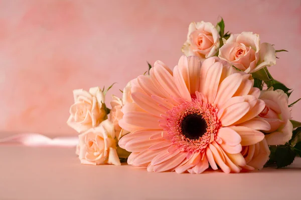 Gerbera Fresh Flower Closeup Pink Background Feminine Greeting Card — Foto de Stock