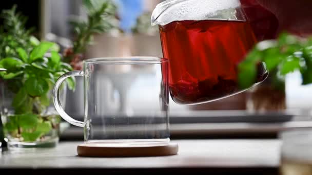 Ρίχνει Φρέσκο Μαύρο Χαλαρό Τσάι Φύλλων Γυάλινο Κύπελλο Τσάι Lifestyle — Αρχείο Βίντεο