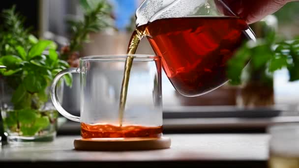 在玻璃杯中倒入新鲜煮好的红叶茶 生活方式喝茶 — 图库视频影像