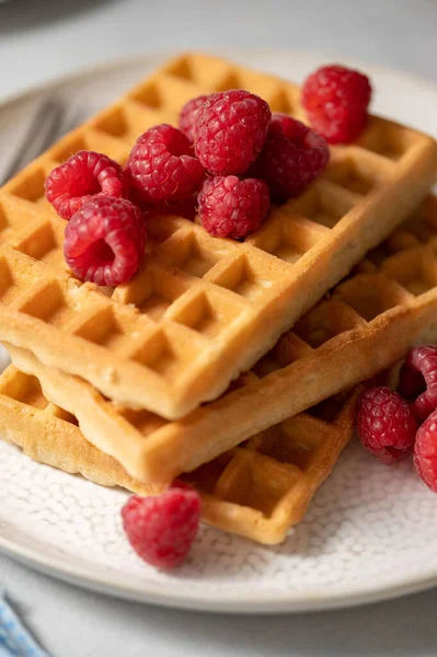 Closeup Waffles Berries Plate Served Cup Tea — Stock Photo, Image