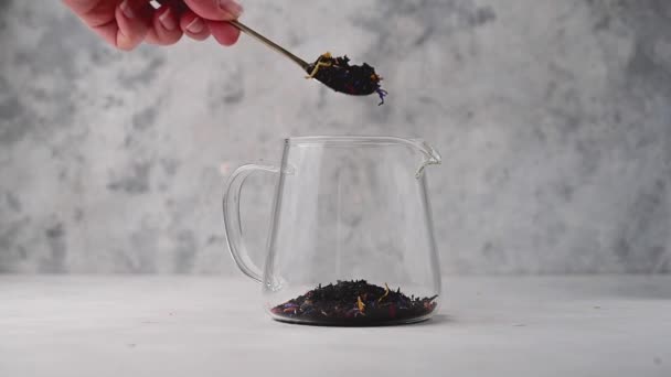 Die Getrockneten Schwarzen Teeblätter Mit Einem Löffel Eine Glaskanne Geben — Stockvideo