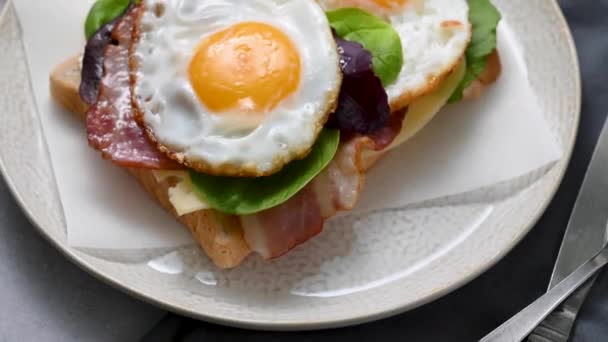 朝食には チーズと新鮮な緑のサラダの葉を添えてトーストに卵とベーコンを揚げ — ストック動画