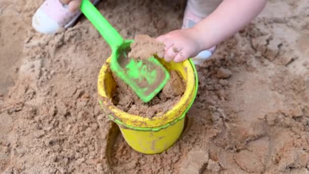 Kleinkind Spielt Sandkasten Auf Dem Spielplatz Freien Aktivitäten Für Kinder — Stockvideo