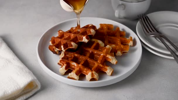 Pouring Honey Homemade Belgian Waffles — Stock Video