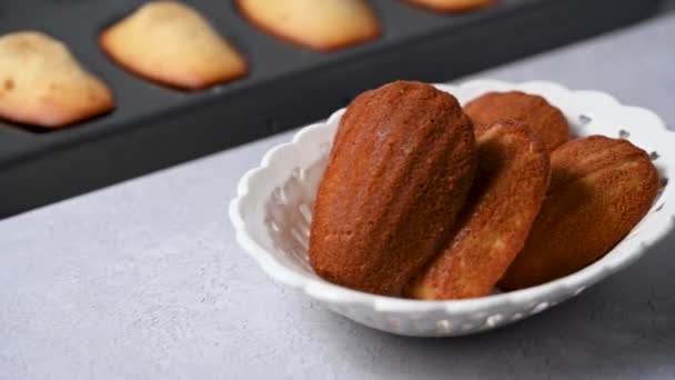 伝統的なフランスのスポンジクッキーケーキ — ストック動画