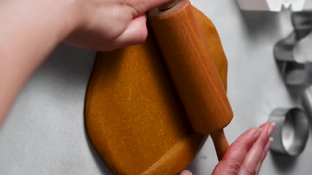 Women Hands Rolling Pastry Dough Gingerbread Christmas Cookies — Stock Video
