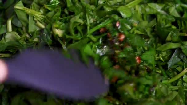 Kochen Frischen Spinat Und Zwiebeln Der Pfanne Aus Nächster Nähe — Stockvideo