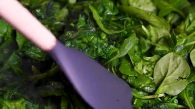 Pişiriyorum, taze ıspanağı kızartma tavasında karıştırıyorum. Yakın plan..