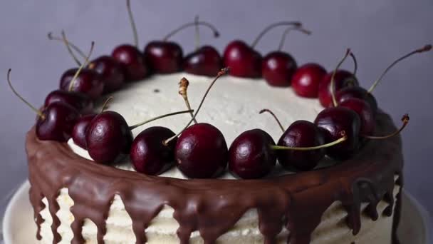 Torta Con Crema Alla Vaniglia Gocce Cioccolato Ciliegie Fresche Cibo — Video Stock