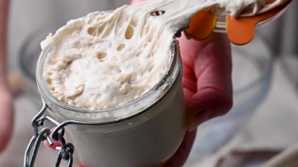 Sourdough Wheat Starter Jar Baking Bread Home Wild Yeast — Stock Video