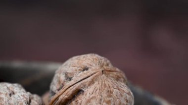Ceviz çekirdeği makro shot 'ı. Bir kasede tam ceviz. Makro çekim.